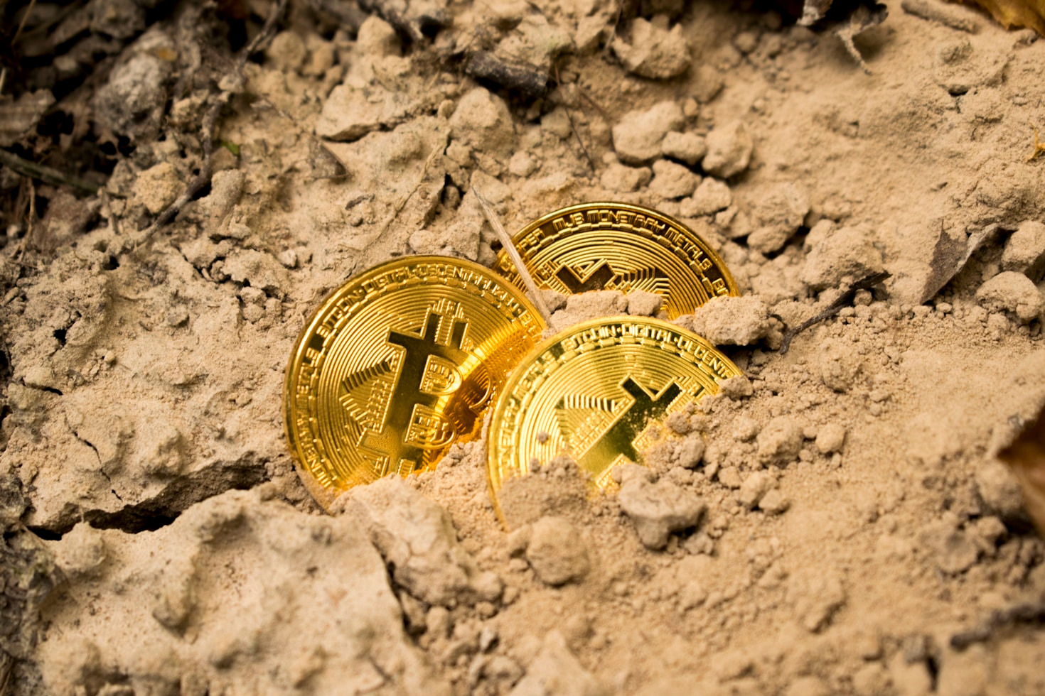 A Simple Introduction to Cryptocurrency Basics